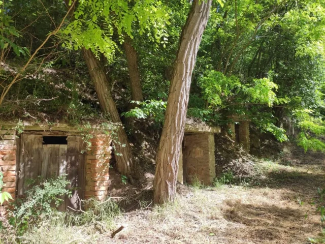 DUCOVSKÁ VÍNNA ŠPACÍRKA - 11.10.2025 (sobota)

Máte radi nenáročné prechádzky v prírode? Miesta, ktoré dýchajú tajomnom a zároveň pomáhajú ukľudniť uponáhľanú myseľ? Miesta, kde deti nachádzajú svoje prvé poklady? Tak na takúto prechádzku - špacírku, Vás pozývame už túto sobotu :) Prechádzky okolo miestnych pivničiek v našej obci sú domácimi veľmi obľúbené. V rámci našej akcie Vám túto prechádzku spríjemnia dobové fotografie z našej obce, ktoré budú vystavené popri ceste okolo pivničiek až po Kaplnku Najsvätejšej Trojice. Farská kaplnka je v bežné dni verejnosti neprístupná a tak prechádzame okolo nej a obdivujeme ju spoza plota. Avšak v sobotu, budú jej dvere otvorené  a tak budú môcť do nej nahliadnuť pohľady všetkých "zvedavcov", malých, aj veľkých :) A deťom prechádzku navyše spríjemníme malou hádankou :)
.. odporúčame špacírku s pohárikom kvalitného vínka, alebo muštu, od vinárov, ktorí prijali naše pozvanie :)

fotky zdroj: internet a archív OZ Pod Kostolcom